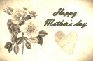 Miniature : Carte postale d'un bouquet de roses blanches pour la fte des mres. 
