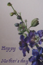 Miniature : Des jolies fleurs bleues pour souhaiter une bonne fte maman. 