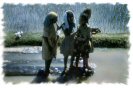 Miniature : Carte postale d'enfants dans l'eau  Madagascar. 
