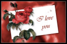 Miniature : Vous vivez un amour passionnel, offrez lui une rose rouge. 