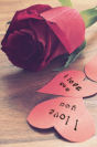 Miniature : Une carte postale pour les amoureux orne d'une rose 