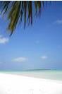 Miniature : Carte postale d'une plage de sable blanc aux Maldives. 