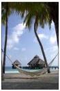Miniature : Carte postale d'un hamac sur une plage des Maldives. 