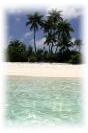 Miniature : Carte postale d'une plage des Maldives. 
