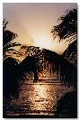 Miniature : Carte postale de palmiers devant un coucher de soleil sur une plage  la Runion. 