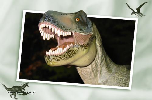 Carte postale d' un tyranosaure sortant de l'image