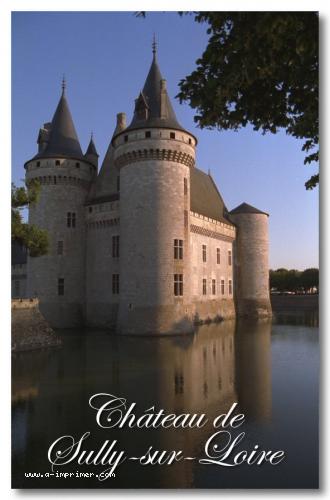 Carte postale du chteau de Sully sur Loire en Indre et Loire.