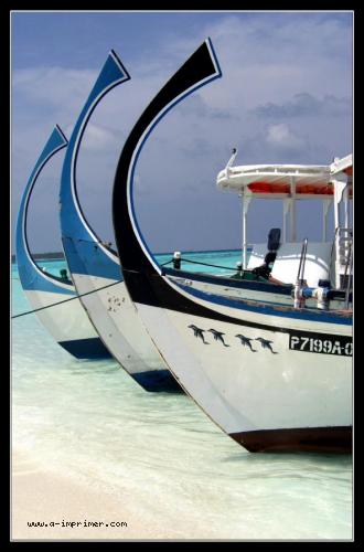 Carte postale de 3 bateaux blancs aux Maldives