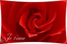 Miniature : Une jolie rose rouge pour dclarer votre amour. 