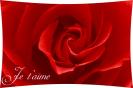 Miniature : Une jolie rose rouge pour dclarer votre amour.