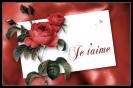 Miniature : Vous vivez un amour passionnel, offrez lui une rose rouge. 