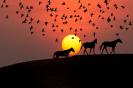 Miniature : Un troupeau de chevaux devant un coucher de soleil 