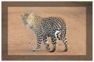 Miniature : Jolie photo d'un léopard