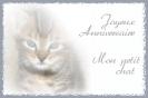 Miniature : Joyeux anniversaire mon petit chat.