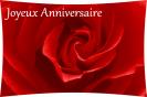 Miniature : Envoyez cette carte d'anniversaire  l'tre aime. Une rose rouge pour symboliser la passion entre vous.