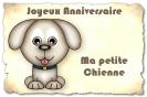 Miniature : Une petite chienne pour souhaiter un joyeux anniversaire ma petite chienne.