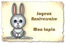 Miniature : Un petit lapin pour un joyeux anniversaire.