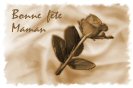 Miniature : Carte postale d'une rose pour la fte des mres. 