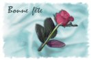 Miniature : Carte postale d'une rose rouge. Bonne fête.