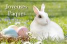 Miniature : Un lapin blanc et des oeufs pour souhaiter de joyeuses paques