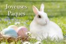 Miniature : Un lapin blanc et des oeufs pour souhaiter de joyeuses paques