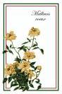 Miniature : Carte postale Bonne Anne 2021 : Fleurs jaunes. Idal pour les amis.