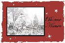 Miniature : Carte postale Bonne Anne 2021 : Montagnes enneiges.