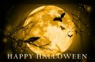 Miniature : Carte postale pour halloween. Corbeau et chauves souris devant la lune