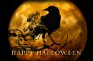 Miniature : Carte postale pour halloween. Corbeau devant la lune