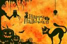 Miniature : Carte postale pour halloween