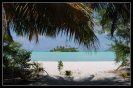 Miniature : Carte postale de palmiers sur la plage au Maldives. 