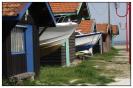 Miniature : Carte postale de bateaux dans leurs cabanes. 