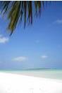 Miniature : Carte postale d'une plage de sable blanc aux Maldives.