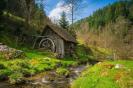 Miniature : Le petit moulin au bord de l'eau