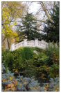 Miniature : Carte postale du parc Monceau  Paris. 