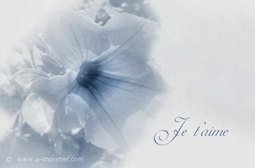 Je t'aime Une jolie fleur pour un joli mot d'amour.