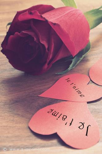 Une carte postale pour les amoureux orne d'une rose