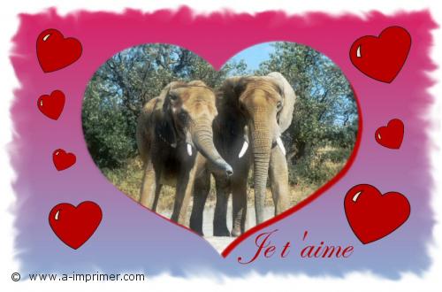 Les elephants Déclarez votre flamme avec cette carte postale d'un joli couple d'éléphants.