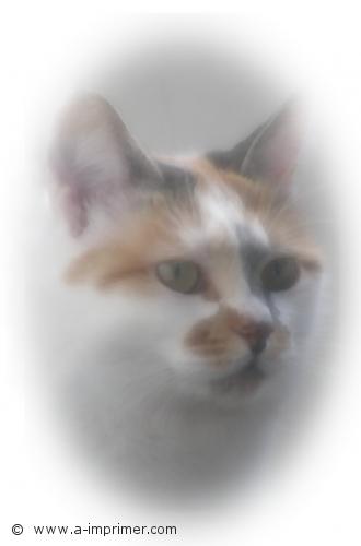 Romy