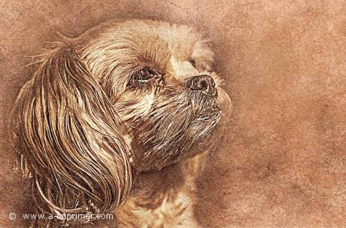 Chien Jolie carte postale portrait d'un chien