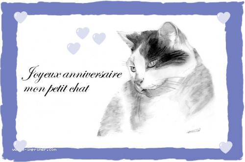 Carte Postale Gratuite A Imprimer Anniversaire Le Chat