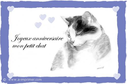 Le chat Joyeux anniversaire mon petit chat.