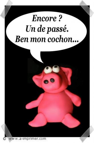 Mon cochon Encore un anniversaire à passer. Ben mon cochon.