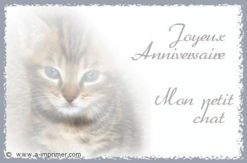 Carte Postale Gratuite A Imprimer Anniversaire Chaton