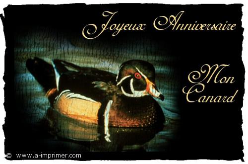 Joyeux anniversaire mon canard.
