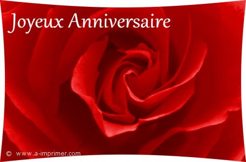 Rose rouge Envoyez cette carte d'anniversaire à l'être aimée. Une rose rouge pour symboliser la passion entre vous.