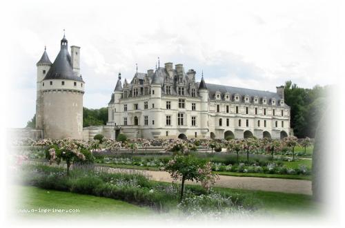 Carte postale du Chateau de Chenonceaux en Indre et Loire.