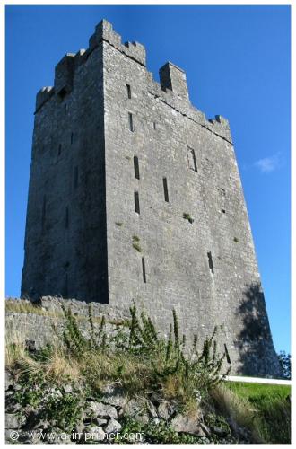 O'dea castle<br>Irlande Carte postale d'O'dea castle en Irlande.