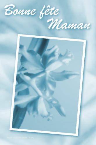 Carte postale d'une orchide pour la fte des mres.