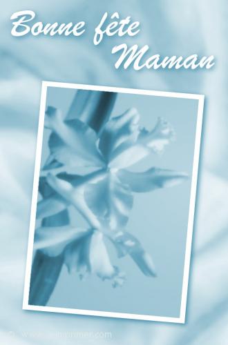 Fête des mères Carte postale d'une orchidée pour la fête des mères.